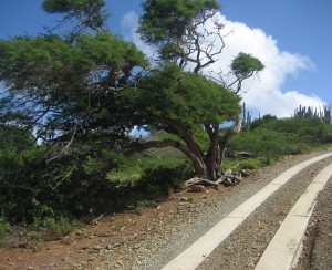 Arikok National Park Aruba
