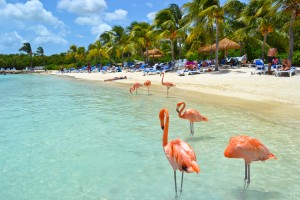 Renaissance Aruba