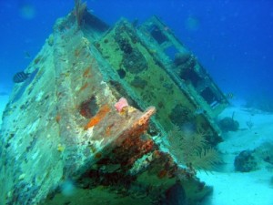 Zeewonders Aruba
