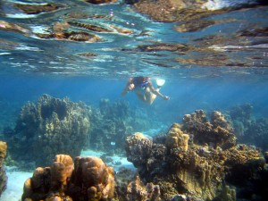 Snorkelen Aruba
