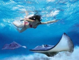 Snorkelen op Aruba