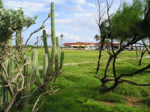 Aruba Golfclub