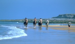 Paardrijden Aruba