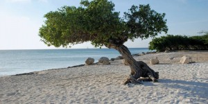 Strandvakantie Aruba
