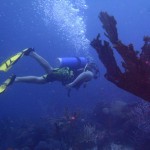 https://www.prachtigaruba.nl/wp-content/uploads/2014/04/Diepzeevissen-Aruba-23574.jpg